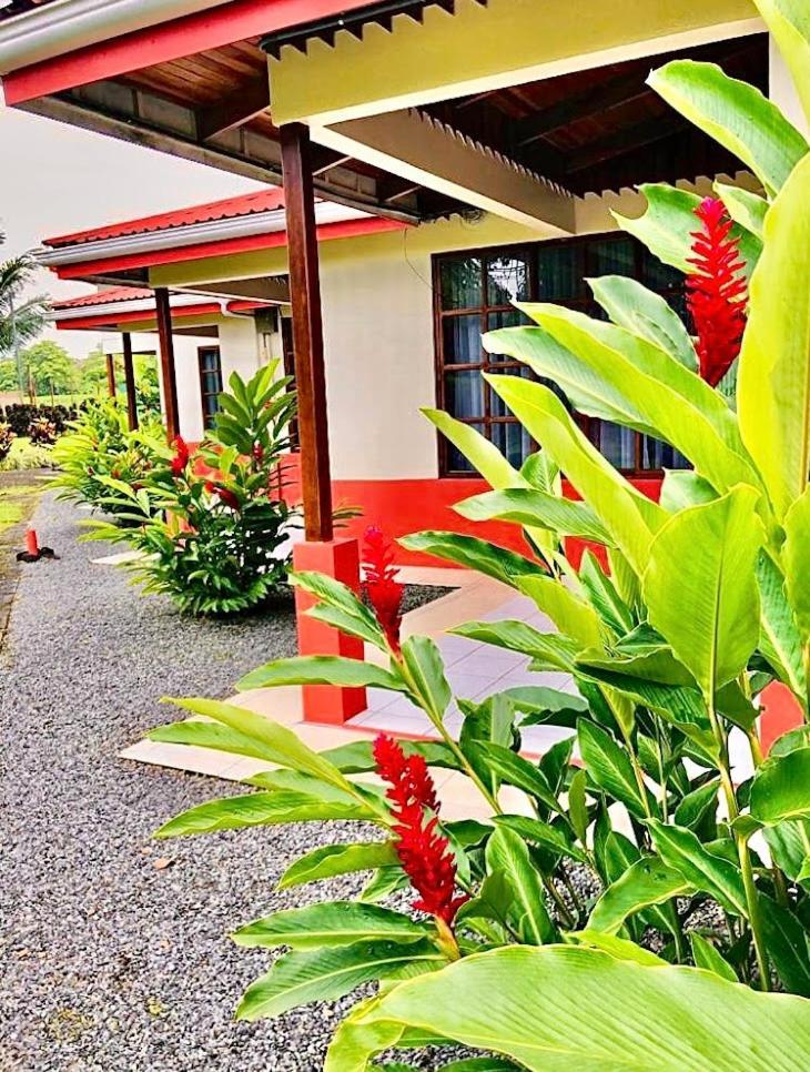 Befox Adventure Hotel La Fortuna Kültér fotó
